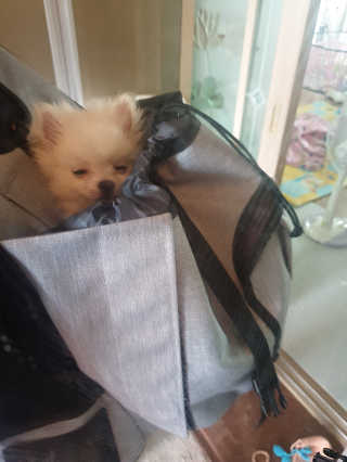 윤히포님이 올린 리뷰 사진 3