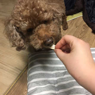reeem님이 올린 리뷰 사진 2