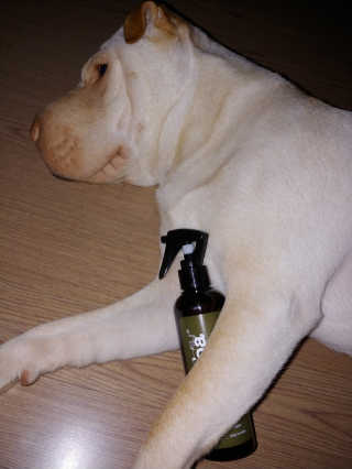 maian님이 올린 리뷰 사진 3