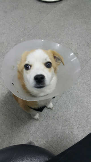 현이님이 올린 리뷰 사진 2