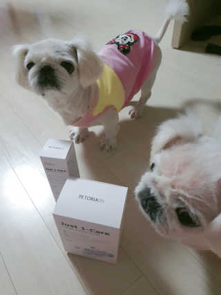 [펫토리아] 뚝딱케어 강아지 고양이 샴푸+미스트 SET — 5점을 준 리뷰어가 2020년 2월 올린 사용 사진
