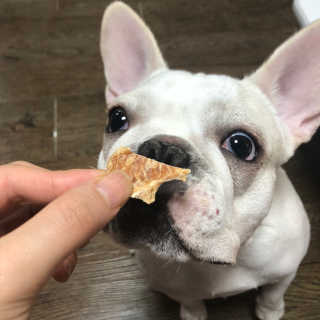 불독키우는개엄마❤️님이 올린 리뷰 사진 4
