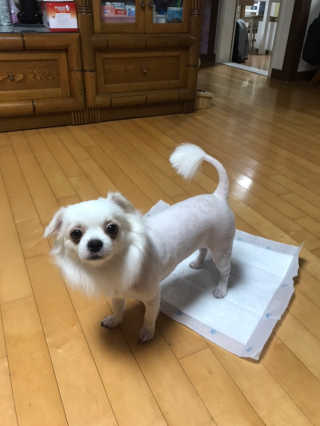 채꽃신님이 올린 리뷰 사진 1