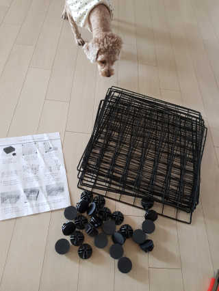 선샤인님이 올린 리뷰 사진 3