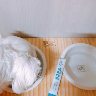 [빙그레] 에버그로 생유산균 1봉（10포입）+펫밀크2팩 — 5점을 준 리뷰어가 2019년 6월 올린 사용 사진