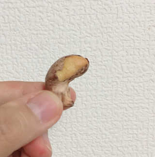 켈로그님이 올린 리뷰 사진 1