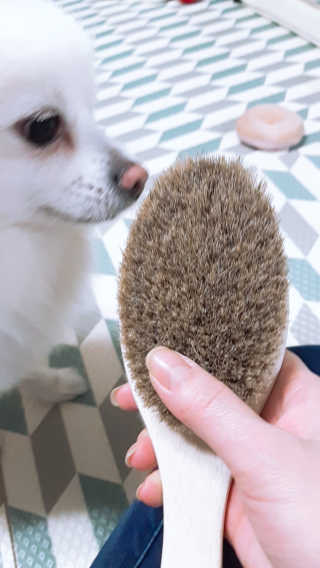 연보라님이 올린 리뷰 사진 4