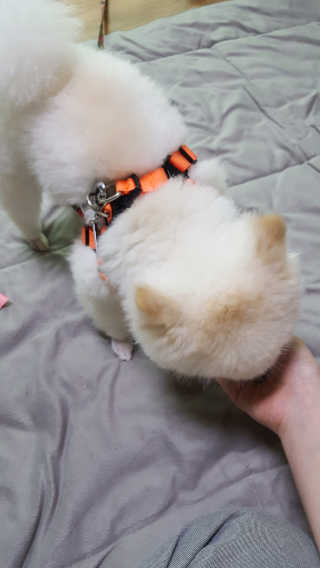 OYR님이 올린 리뷰 사진 3