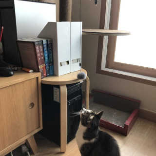 곰같은여우님이 올린 리뷰 사진 3
