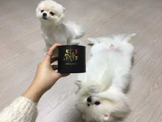 최수지님이 올린 리뷰 사진 1