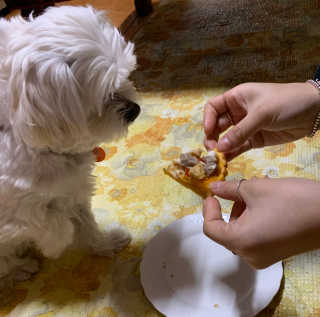 연구yeongu님이 올린 리뷰 사진 1
