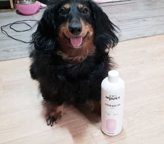 원말삼닥님이 올린 리뷰 사진 2
