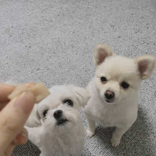 DANi님이 올린 리뷰 사진 4
