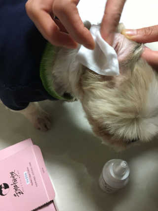 깁소영님이 올린 리뷰 사진 1