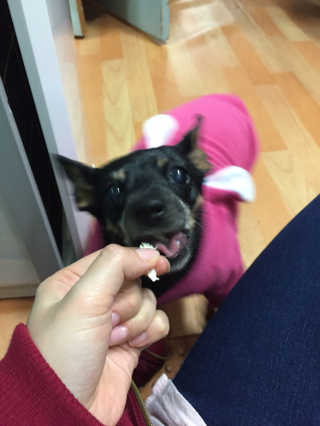 EstherLee님이 올린 리뷰 사진 3