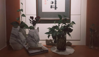 메이님이 올린 리뷰 사진 2