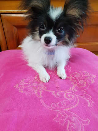 MinwooChoi님이 올린 리뷰 사진 2