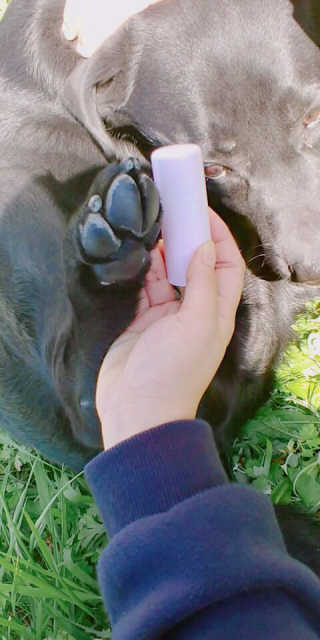 jh6919님이 올린 리뷰 사진 1