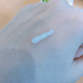 둥끼님이 올린 리뷰 사진 2