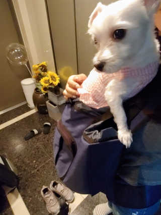 Songx님이 올린 리뷰 사진 1