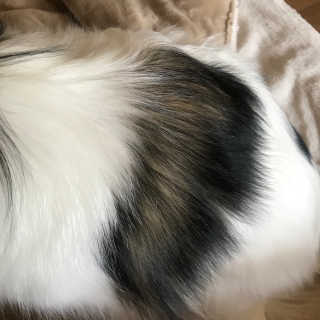 하나마리님이 올린 리뷰 사진 2