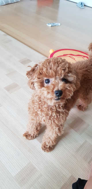 lovelyj000님이 올린 리뷰 사진 3
