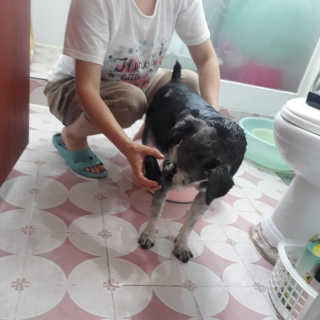 sunny님이 올린 리뷰 사진 3