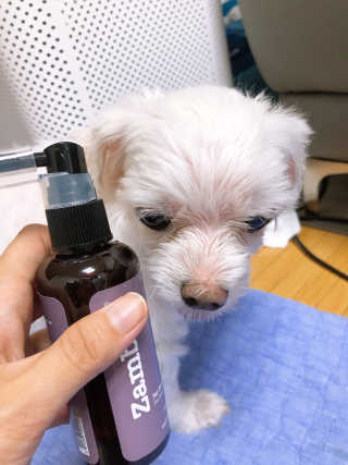 ejejejluv님이 올린 리뷰 사진 3
