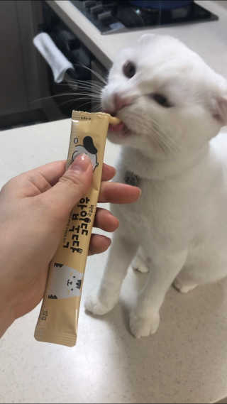 [펫토리아]짜먹는 한입뚝딱 강아지.고양이 마약간식 — 5점을 준 리뷰어가 2019년 7월 올린 사용 사진