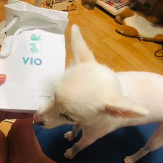 이겨울님이 올린 리뷰 사진 1