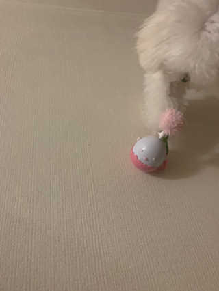 Ella님이 올린 리뷰 사진 1