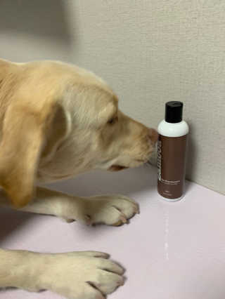 이지닝님이 올린 리뷰 사진 1