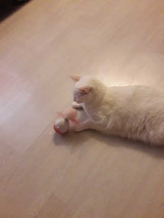 보라보라님이 올린 리뷰 사진 3