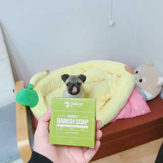 지혜님이 올린 리뷰 사진 1