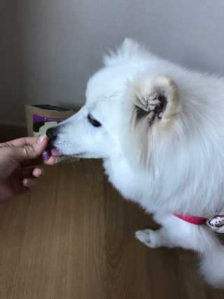 bin님이 올린 리뷰 사진 2