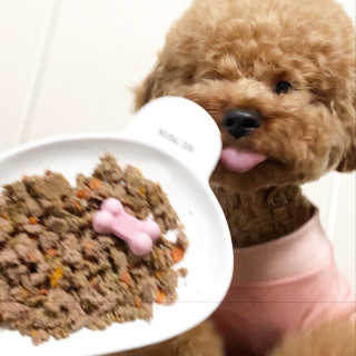 초코님이 올린 리뷰 사진 4