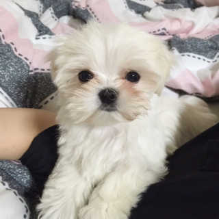 갓쏘님이 올린 리뷰 사진 3
