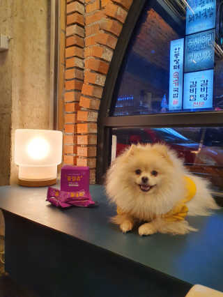 뚱이땅콩맘님이 올린 리뷰 사진 2