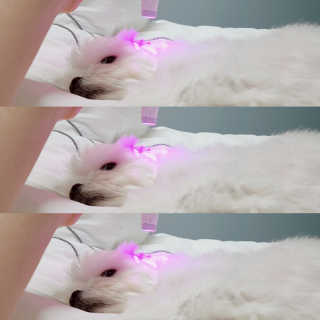 나란여자🤦‍♀️🤷‍♀️💁‍♀️님이 올린 리뷰 사진 3