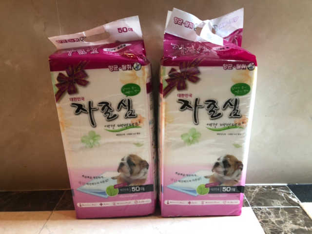 가성비 좋은 배변패드 50매 2묶음 리뷰 사진