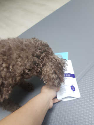 brill님이 올린 리뷰 사진 3