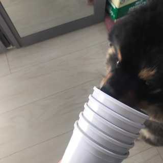 정아님이 올린 리뷰 사진 2