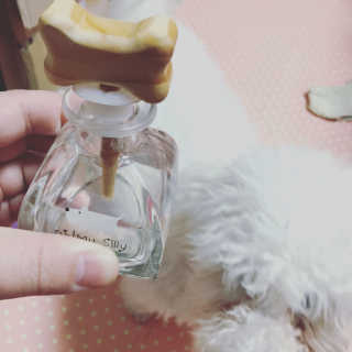 오!마이실리 오마이실리 반려동물 디퓨저 — 5점을 준 리뷰어가 2017년 12월 올린 사용 사진