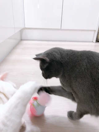 뿅아리님이 올린 리뷰 사진 4