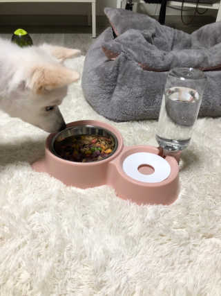 꽃뙤지님이 올린 리뷰 사진 1