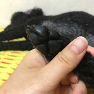 엄디님이 올린 리뷰 사진 4