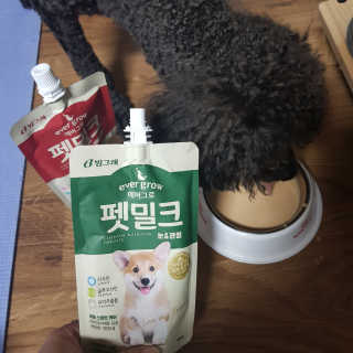 [빙그레] 에버그로 생유산균 1봉（10포입）+펫밀크2팩 — 5점을 준 리뷰어가 2019년 5월 올린 사용 사진