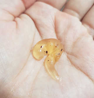 리라로님이 올린 리뷰 사진 3