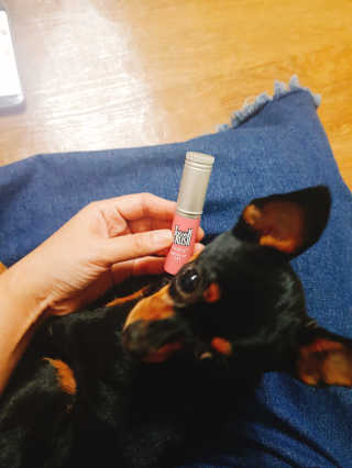 써니짱님이 올린 리뷰 사진 3
