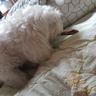 쪄니님이 올린 리뷰 사진 3